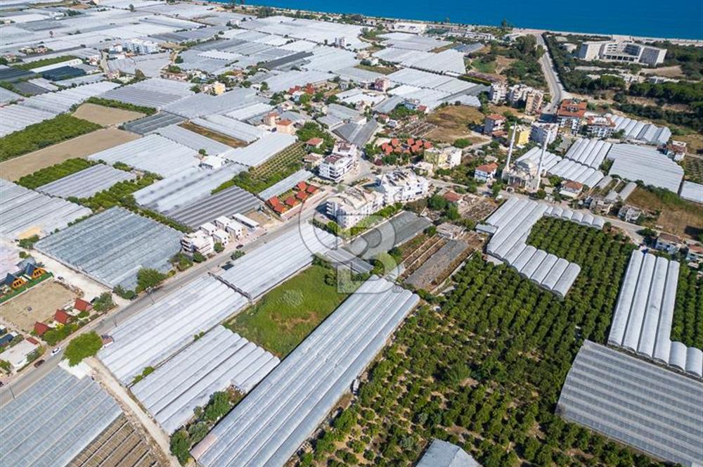 CB ARDENDEN ANTALYA DEMRE BÜYÜKKUMDA 3221 M2 SATILIK TARLA