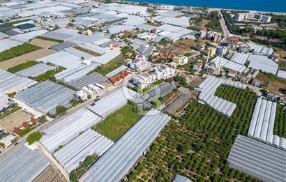 CB ARDENDEN ANTALYA DEMRE BÜYÜKKUMDA 3221 M2 SATILIK TARLA