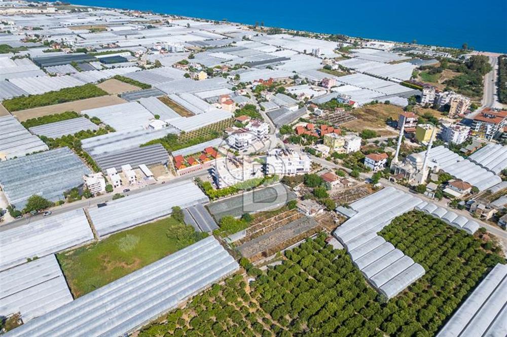 CB ARDENDEN ANTALYA DEMRE BÜYÜKKUMDA 3221 M2 SATILIK TARLA