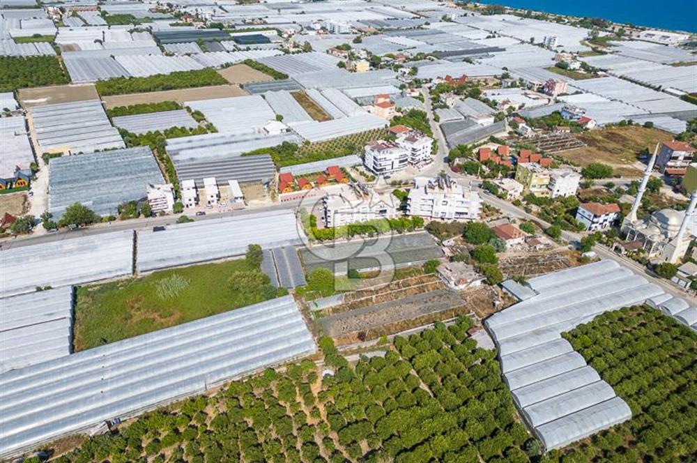 CB ARDENDEN ANTALYA DEMRE BÜYÜKKUMDA 3221 M2 SATILIK TARLA