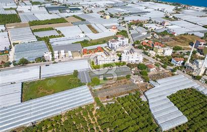 CB ARDENDEN ANTALYA DEMRE BÜYÜKKUMDA 3221 M2 SATILIK TARLA