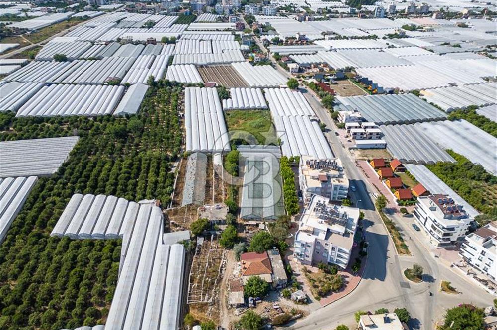 CB ARDENDEN ANTALYA DEMRE BÜYÜKKUMDA 3221 M2 SATILIK TARLA
