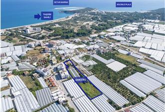 CB ARDENDEN ANTALYA DEMRE BÜYÜKKUMDA 3221 M2 SATILIK TARLA
