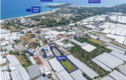 CB ARDENDEN ANTALYA DEMRE BÜYÜKKUMDA 3221 M2 SATILIK TARLA