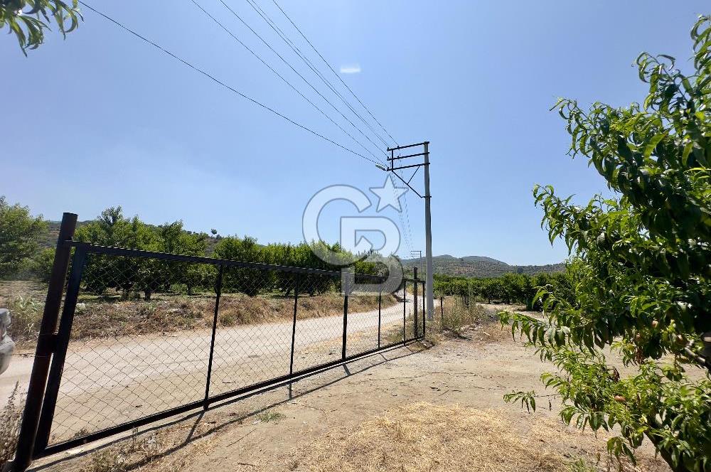 İzmir Selçuk'ta Satılık Meyve Bahçesi