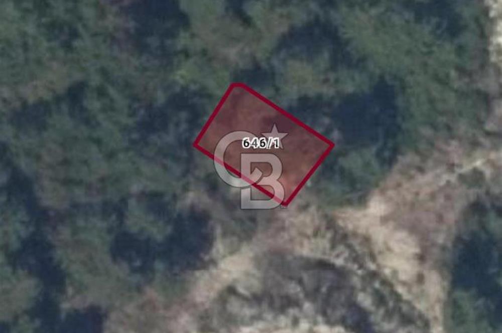 Kuşadası Soğucak’ta 303,08m² Satılık Konut İmarlı Arsa!