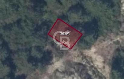 Kuşadası Soğucak’ta 303,08m² Satılık Konut İmarlı Arsa!