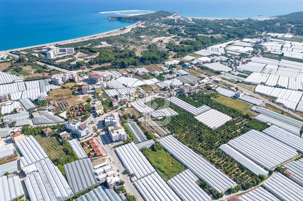 CB ARDENDEN ANTALYA DEMRE BÜYÜKKUMDA 3221 M2 SATILIK TARLA
