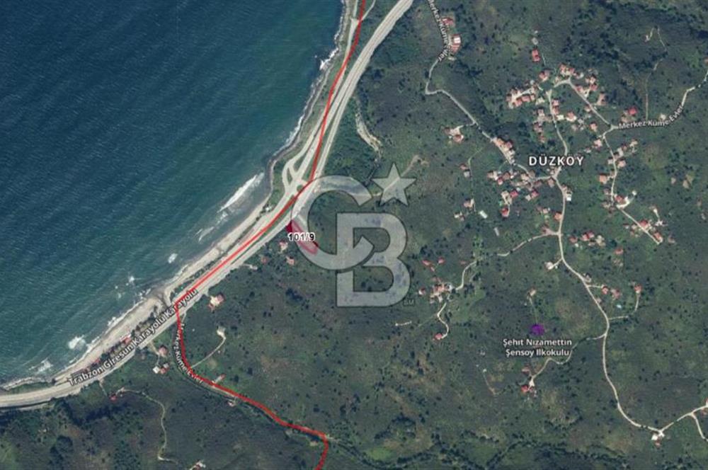 GİRESUN KEŞAP DÜZKÖY'DE MUHTEŞEM KONUMDA ARSA