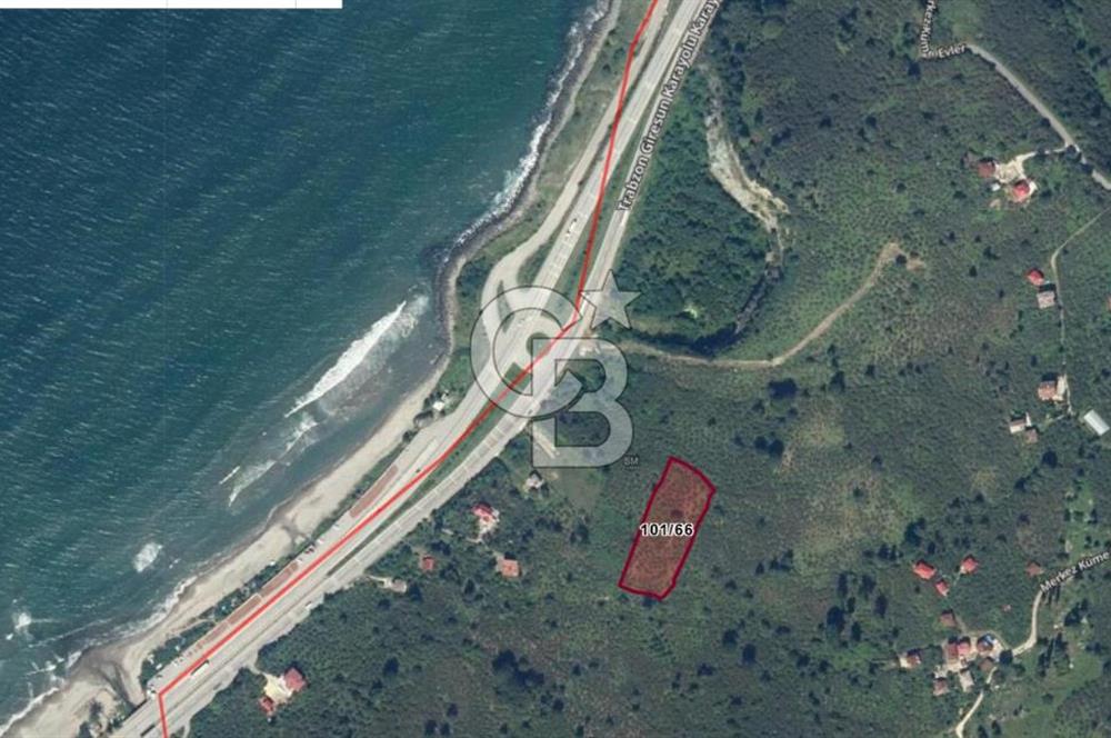 GİRESUN KEŞAP DÜZKÖY'DE MUHTEŞEM KONUMDA ARSA