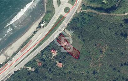 GİRESUN KEŞAP DÜZKÖY'DE MUHTEŞEM KONUMDA ARSA