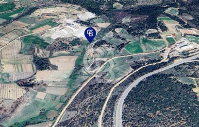 BİLECİK MERKEZ GÜLÜMBE KÖYÜNDE YATIRIMLIK 1010 M2 YOLA CEPHELİ TARLA