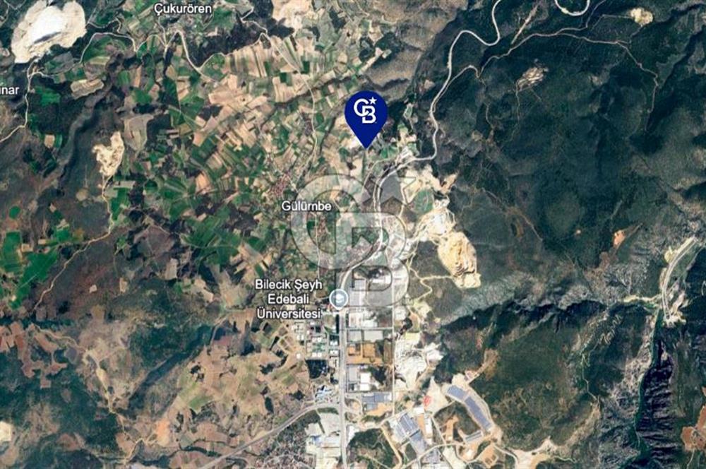 BİLECİK MERKEZ GÜLÜMBE KÖYÜNDE YATIRIMLIK 1010 M2 YOLA CEPHELİ TARLA