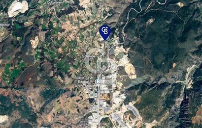 BİLECİK MERKEZ GÜLÜMBE KÖYÜNDE YATIRIMLIK 1010 M2 YOLA CEPHELİ TARLA