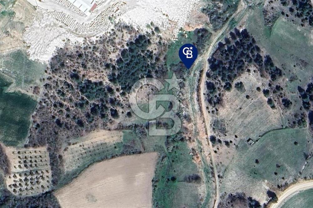 BİLECİK MERKEZ GÜLÜMBE KÖYÜNDE YATIRIMLIK 1010 M2 YOLA CEPHELİ TARLA