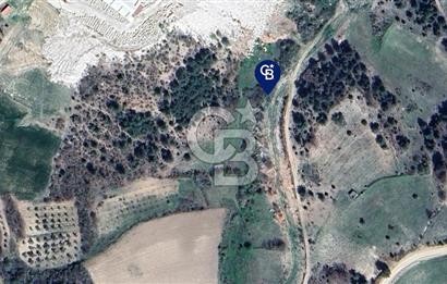 BİLECİK MERKEZ GÜLÜMBE KÖYÜNDE YATIRIMLIK 1010 M2 YOLA CEPHELİ TARLA
