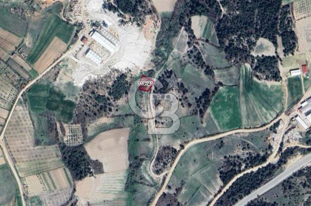 BİLECİK MERKEZ GÜLÜMBE KÖYÜNDE YATIRIMLIK 1010 M2 YOLA CEPHELİ TARLA