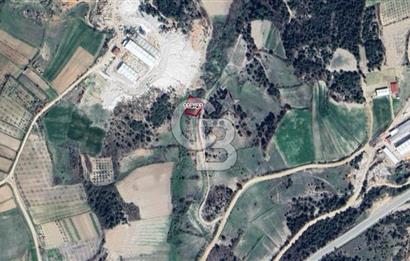 BİLECİK MERKEZ GÜLÜMBE KÖYÜNDE YATIRIMLIK 1010 M2 YOLA CEPHELİ TARLA