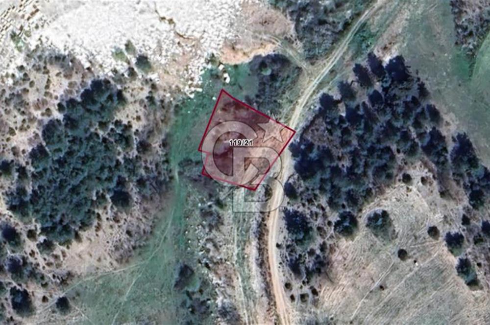 BİLECİK MERKEZ GÜLÜMBE KÖYÜNDE YATIRIMLIK 1010 M2 YOLA CEPHELİ TARLA