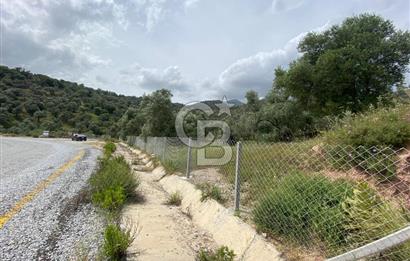 AYDIN SULTANHİSAR yola CEPHELİ SATILIK TARLA
