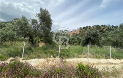 AYDIN SULTANHİSAR yola CEPHELİ SATILIK TARLA