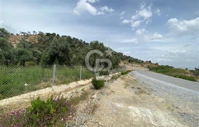 AYDIN SULTANHİSAR yola CEPHELİ SATILIK TARLA