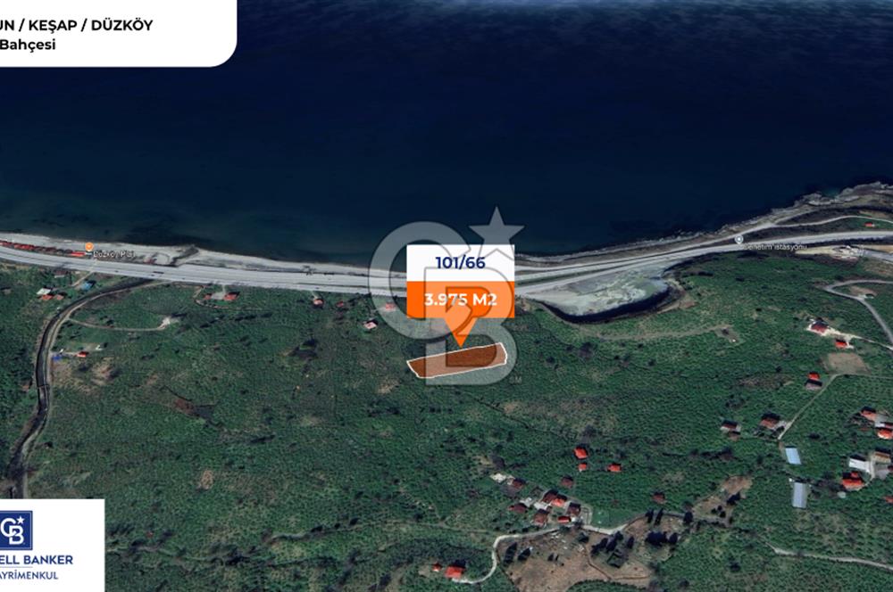 GİRESUN KEŞAP DÜZKÖY'DE MUHTEŞEM KONUMDA ARSA