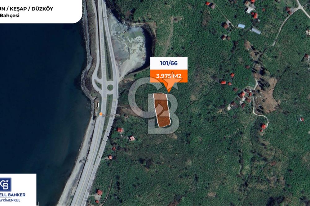 GİRESUN KEŞAP DÜZKÖY'DE MUHTEŞEM KONUMDA ARSA