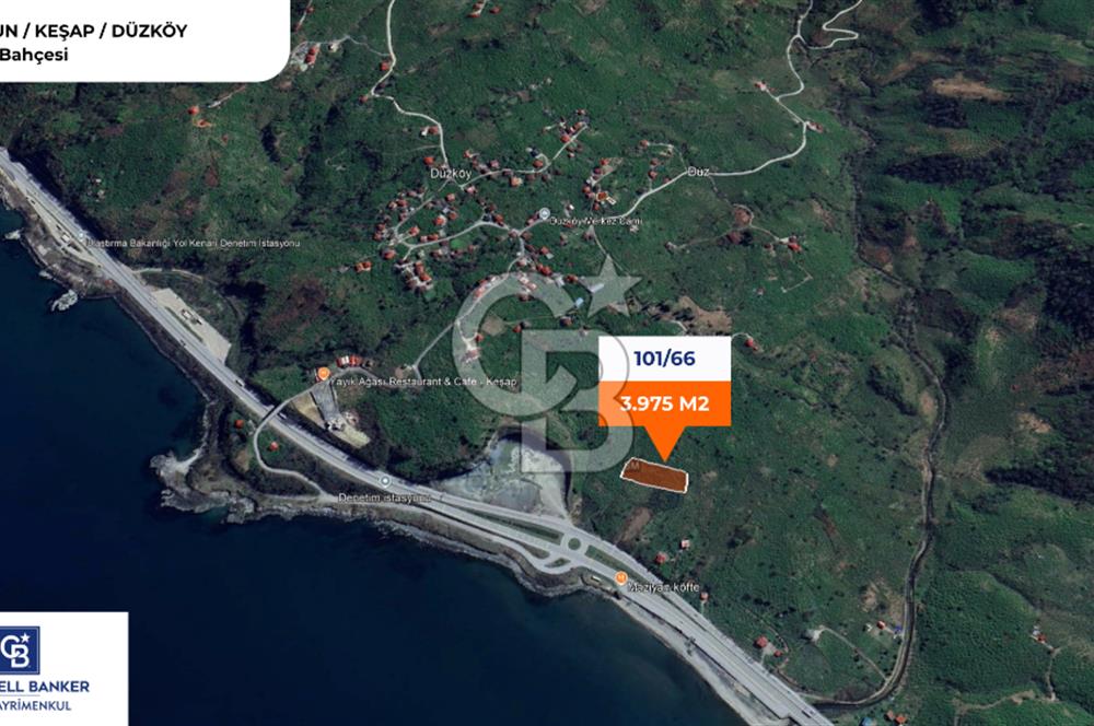 GİRESUN KEŞAP DÜZKÖY'DE MUHTEŞEM KONUMDA ARSA