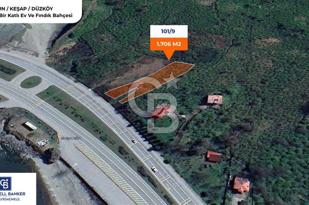 GİRESUN KEŞAP DÜZKÖY'DE MUHTEŞEM KONUMDA ARSA
