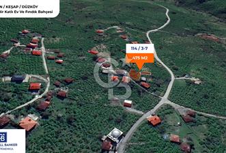 GİRESUN KEŞAP DÜZKÖY'DE KÖY İÇERİSİNDE ARSA