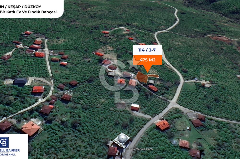 GİRESUN KEŞAP DÜZKÖY'DE KÖY İÇERİSİNDE ARSA