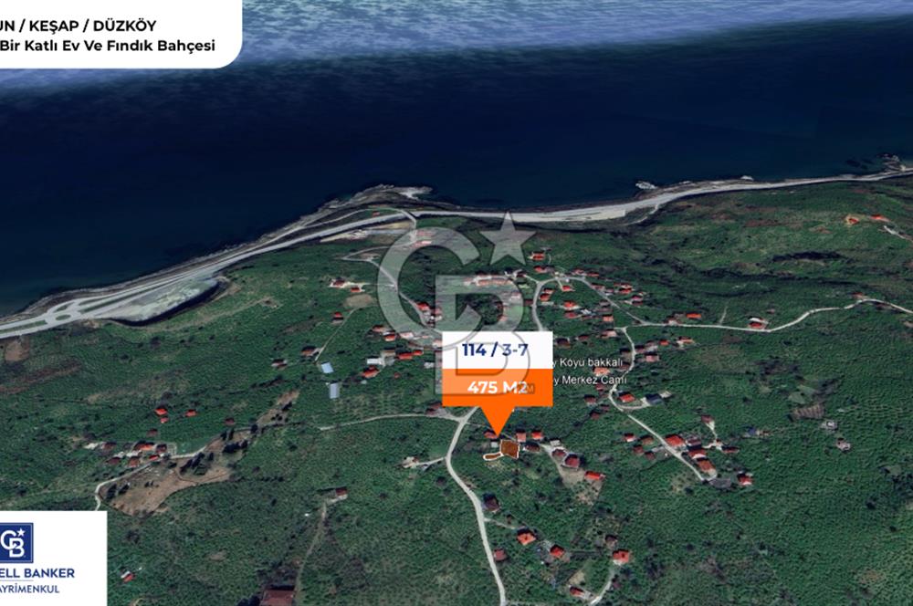 GİRESUN KEŞAP DÜZKÖY'DE KÖY İÇERİSİNDE ARSA