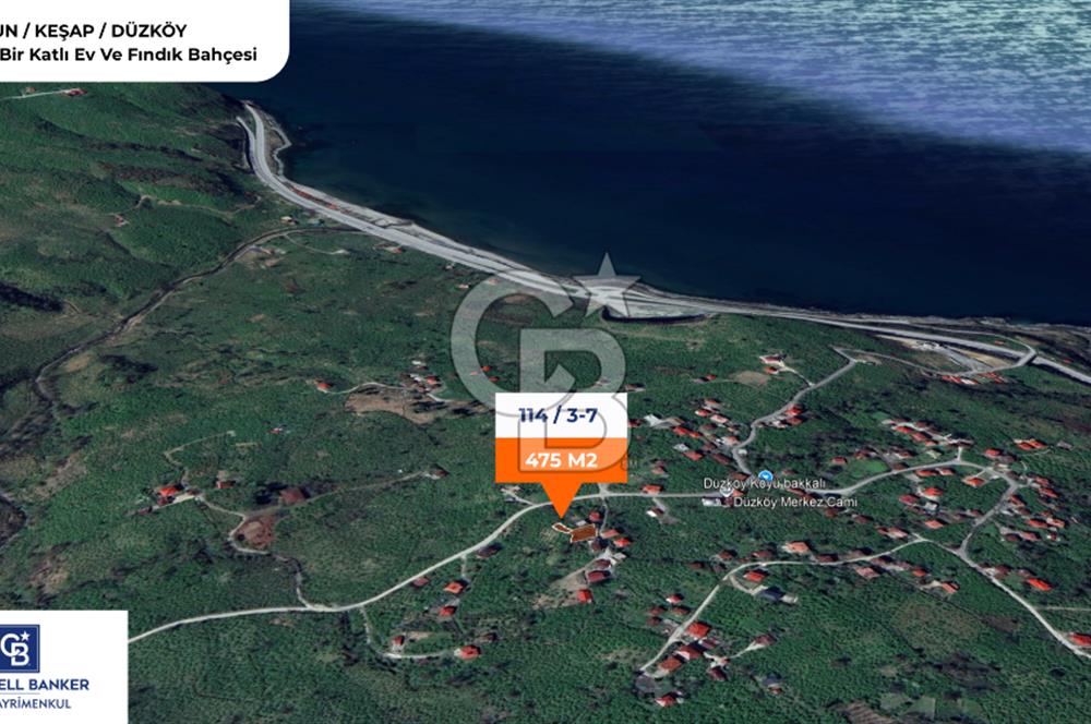 GİRESUN KEŞAP DÜZKÖY'DE KÖY İÇERİSİNDE ARSA