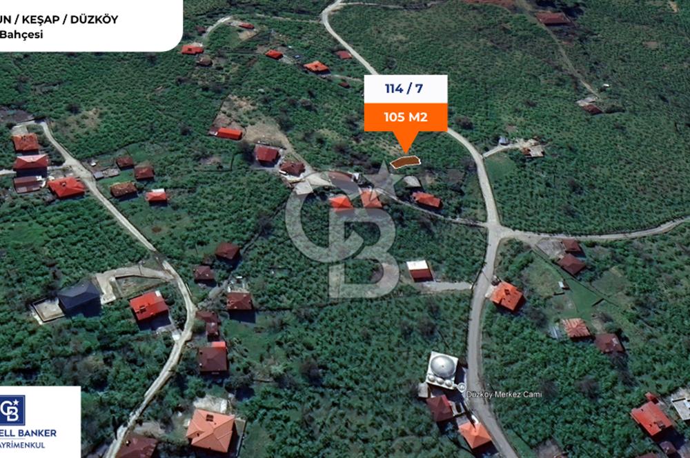 GİRESUN KEŞAP DÜZKÖY'DE KÖY İÇERİSİNDE ARSA