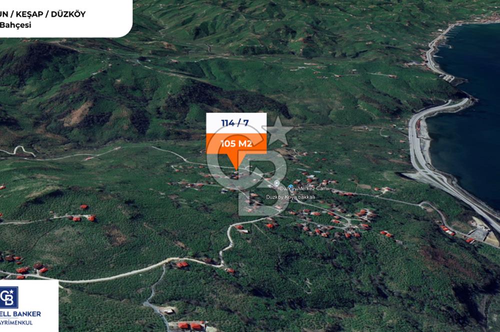 GİRESUN KEŞAP DÜZKÖY'DE KÖY İÇERİSİNDE ARSA