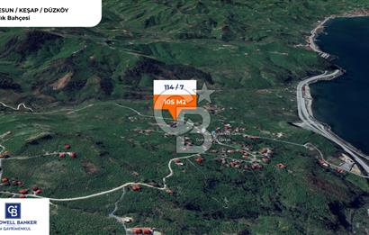 GİRESUN KEŞAP DÜZKÖY'DE KÖY İÇERİSİNDE ARSA