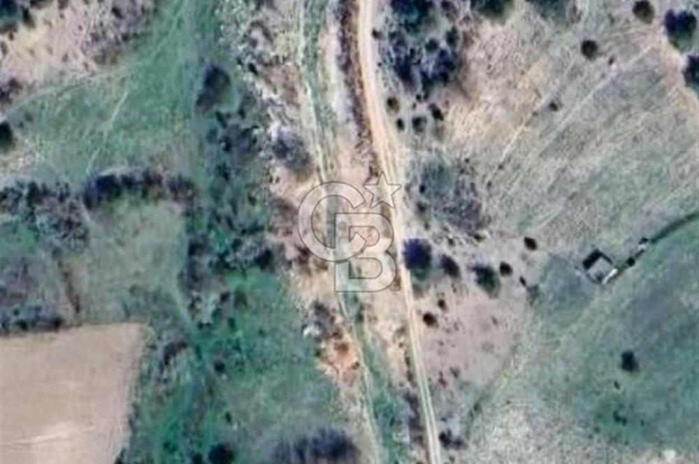 BİLECİK MERKEZ GÜLÜMBE KÖYÜNDE YATIRIMLIK 1010 M2 YOLA CEPHELİ TARLA