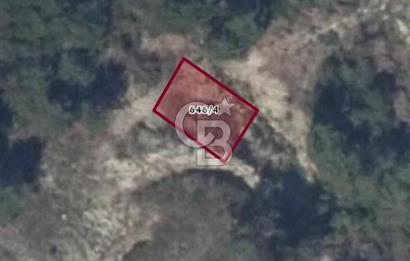 Kuşadası Soğucak’ta 304,41m² Satılık Konut İmarlı Arsa!