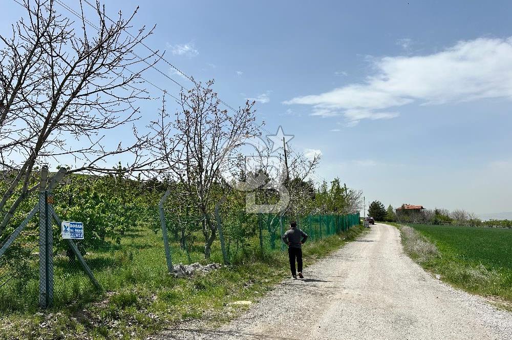 Cücük de Satılık Bahçe 8700m2