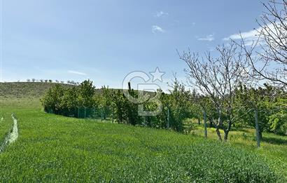 Cücük de Satılık Bahçe 8700m2