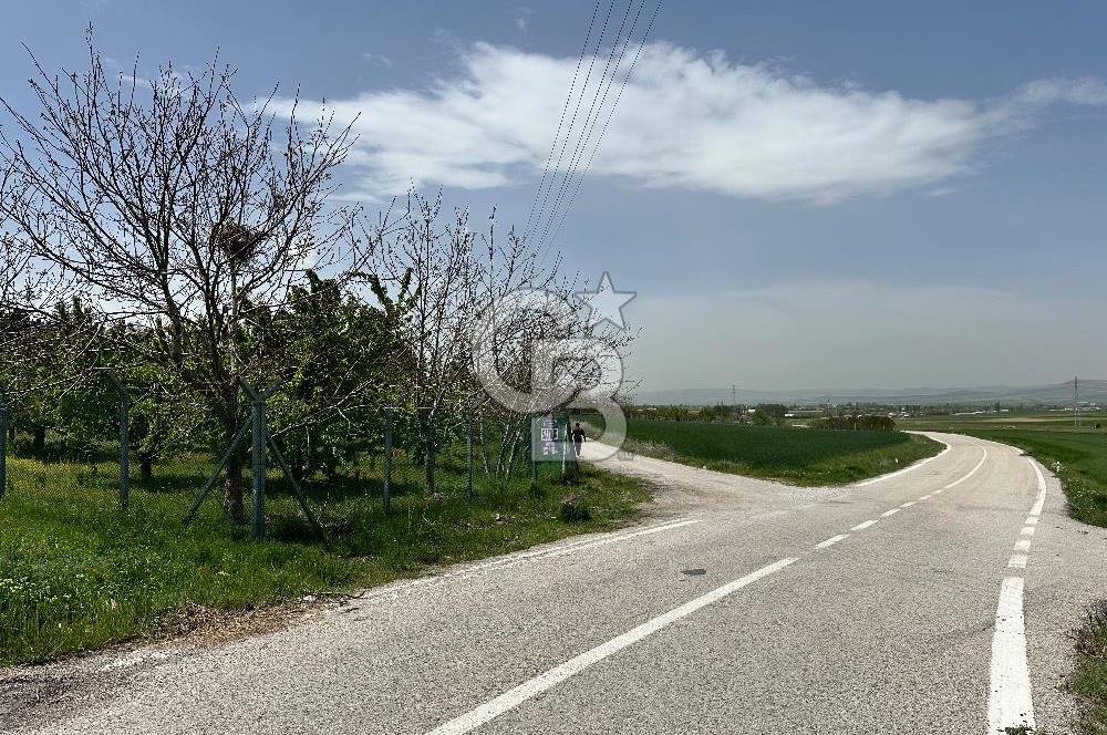 Cücük de Satılık Bahçe 8700m2