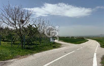 Cücük de Satılık Bahçe 8700m2