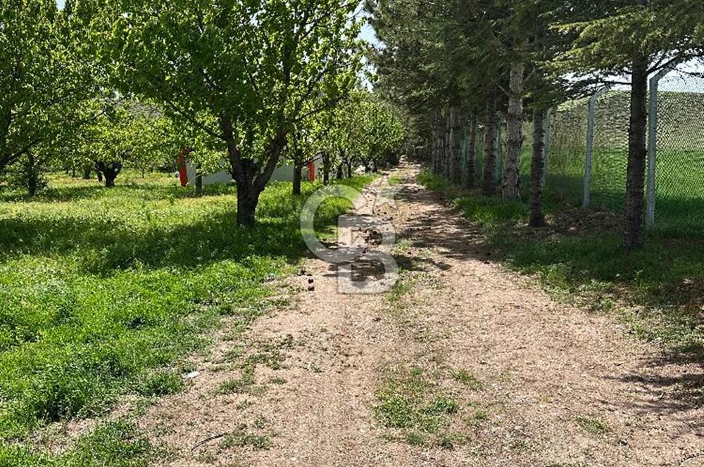 Cücük de Satılık Bahçe 8700m2