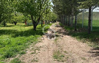 Cücük de Satılık Bahçe 8700m2