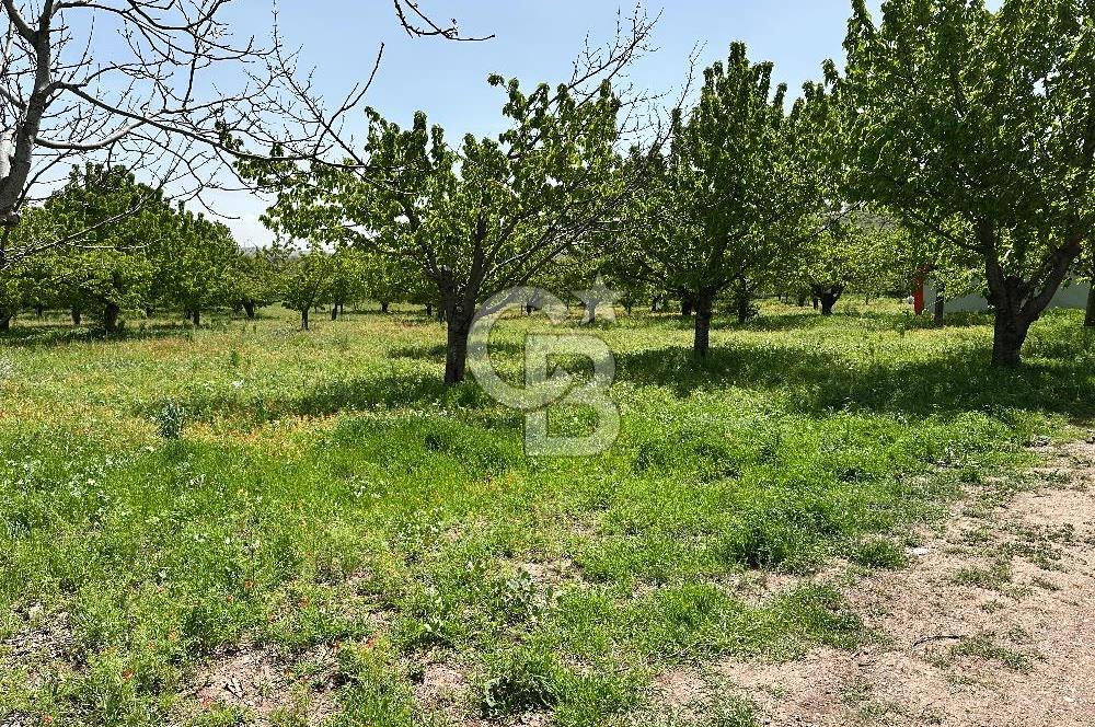 Cücük de Satılık Bahçe 8700m2