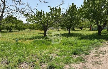 Cücük de Satılık Bahçe 8700m2