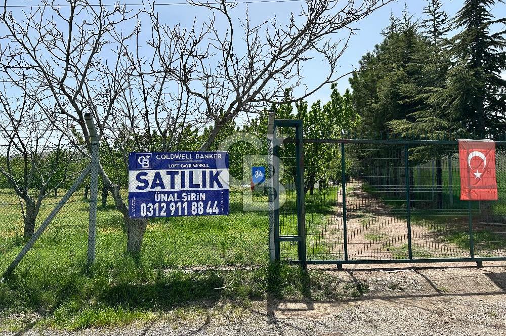 Cücük de Satılık Bahçe 8700m2