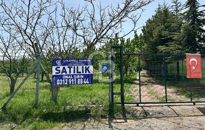 Cücük de Satılık Bahçe 8700m2