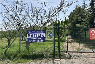 Cücük de Satılık Bahçe 8700m2
